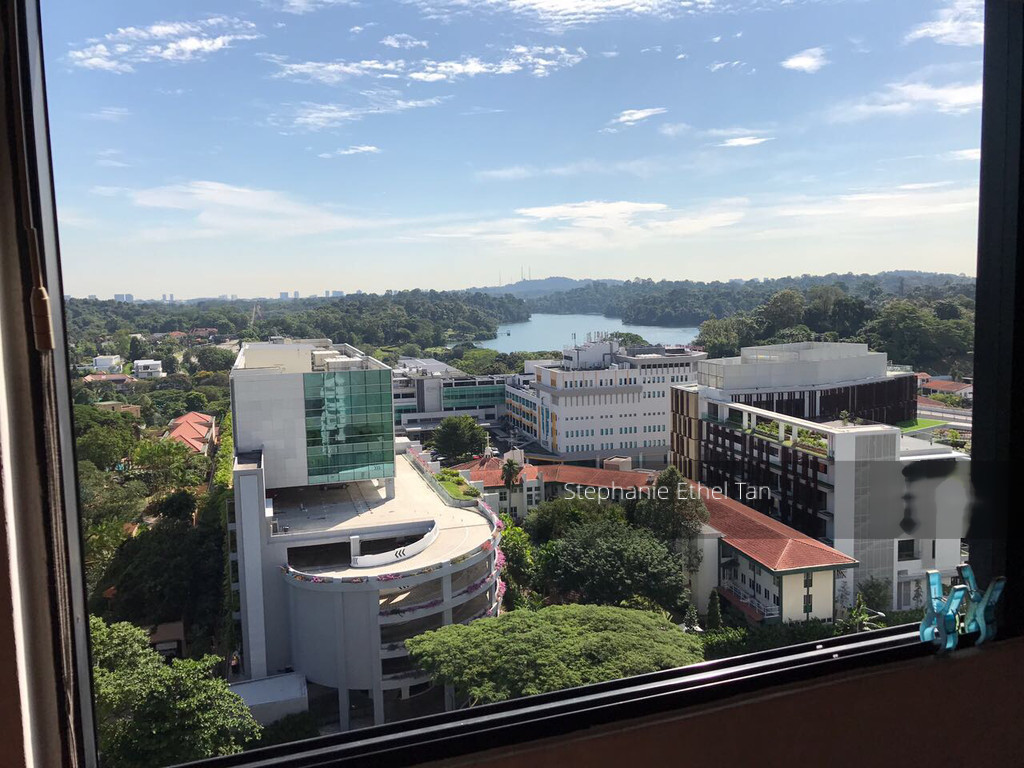 Braddell View thumbnail photo